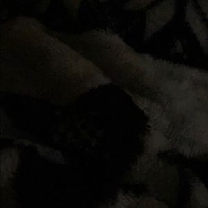 Meet your Posher, Dawn